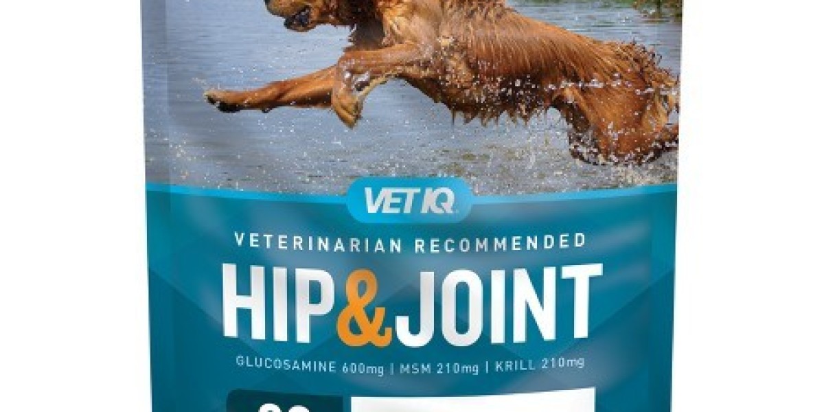 Enhancing Your Canine Companion's Health: A Guide to Dog Supplements in the USA