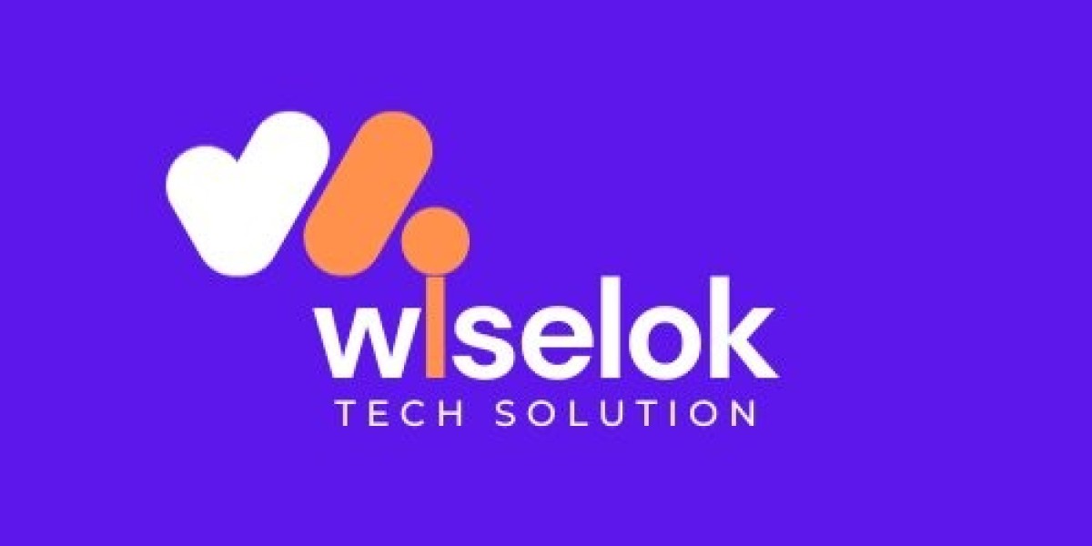 Best eCommerce SEO Agency - Wiselok Tech Solution