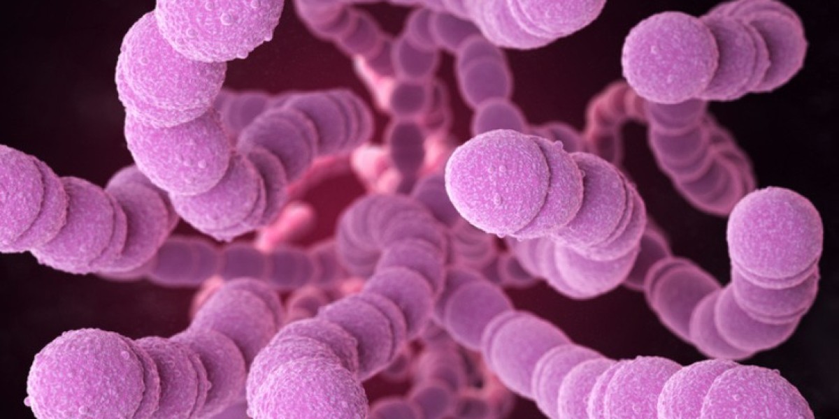 Global Antimicrobial Therapeutics Market, Size, Trends, and Future Growth Prospects (2024-2032)