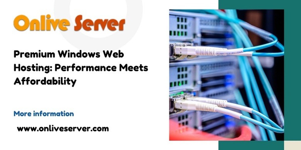 Premium Windows Web Hosting: Performance Meets Affordability