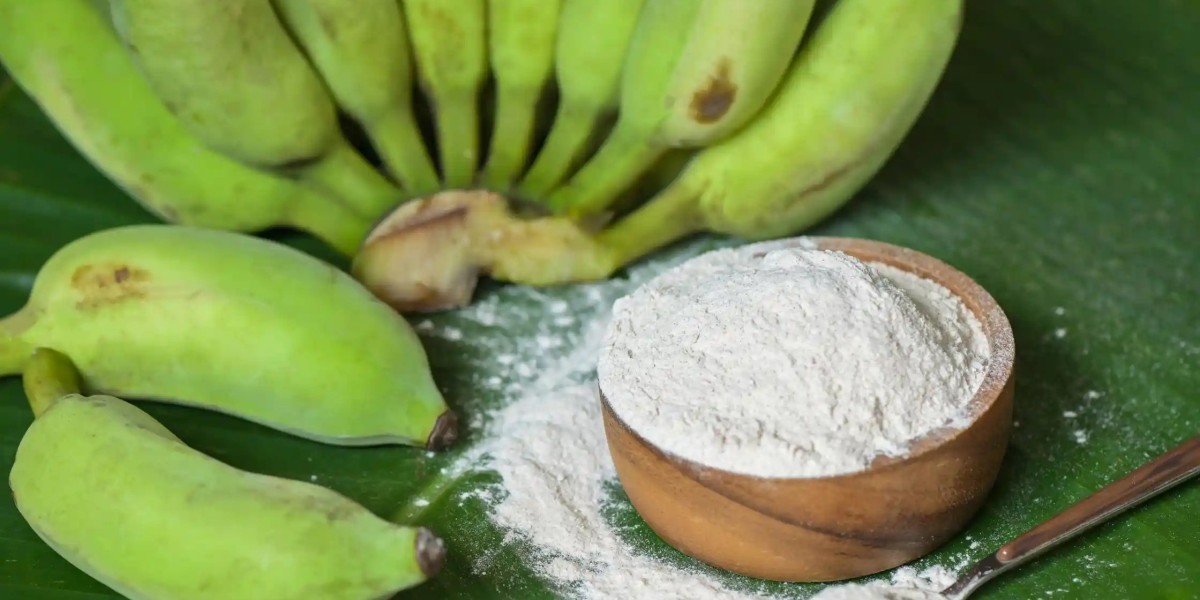 Project Report on Banana Powder Manufacturing Plant 2024: Setup and Cost Involved